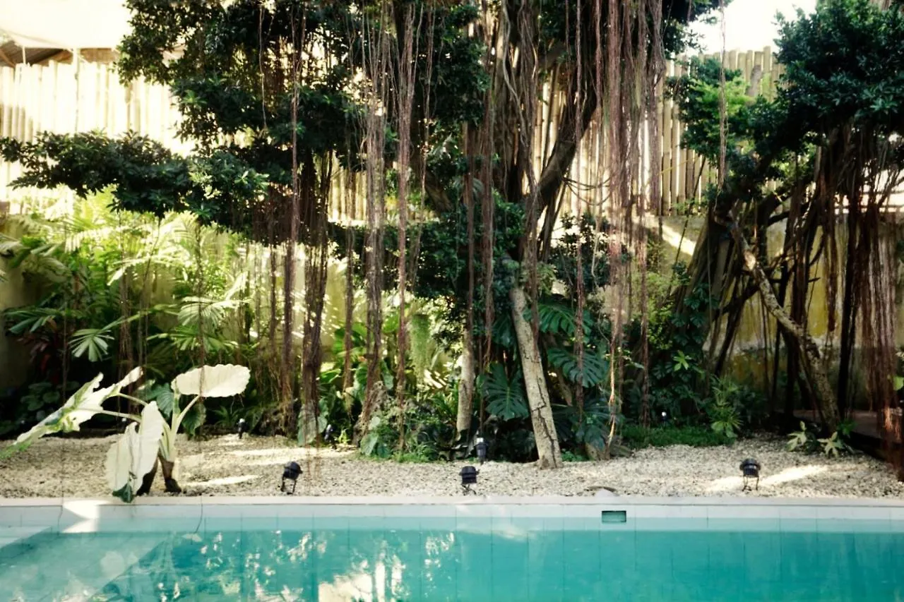 Banyan Villa Panglao With Private Pool