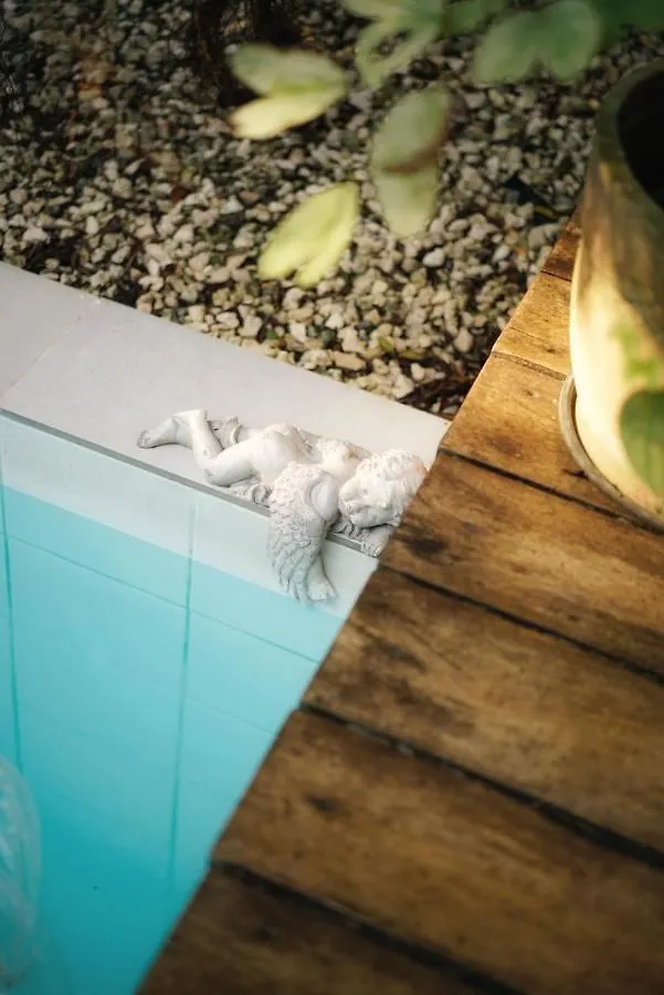 Banyan Villa Panglao With Private Pool Philippines