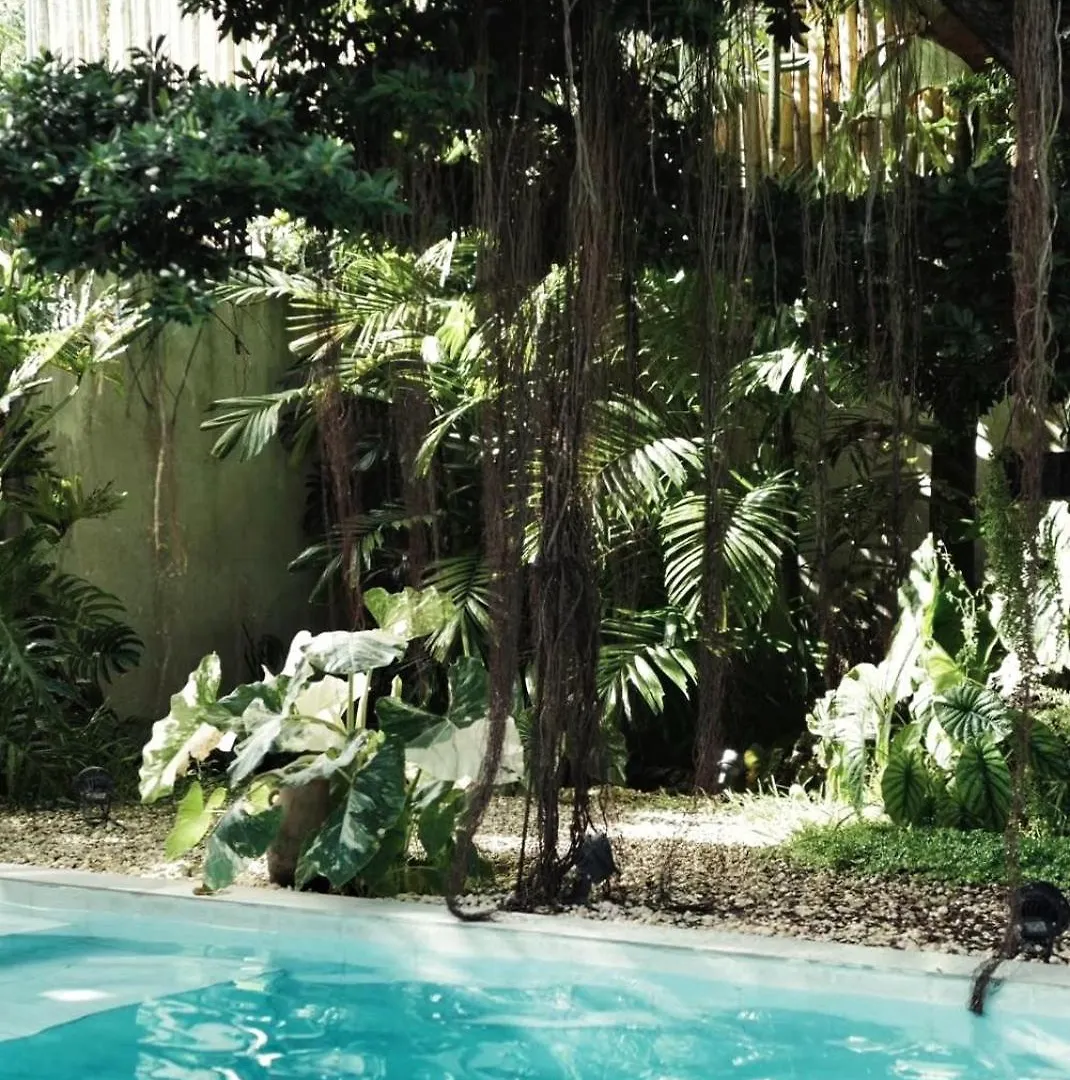Banyan Villa Panglao With Private Pool